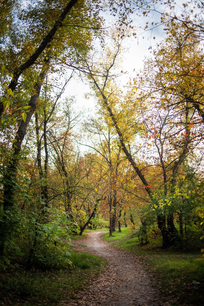Photograph by Oksana Roldugina