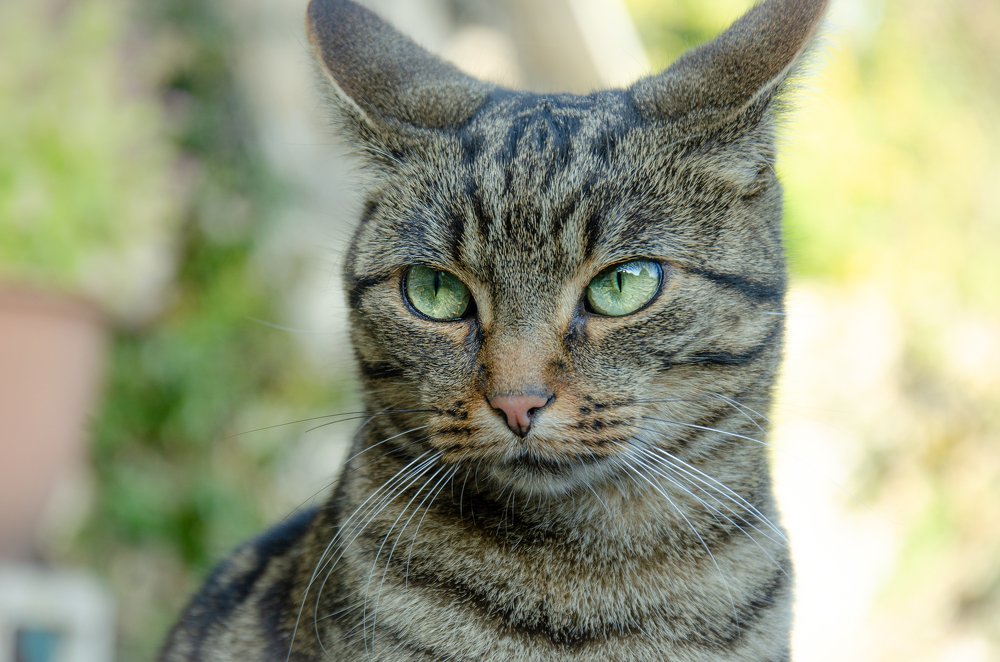 Photograph by LYUDMYLA POKRYSHEN