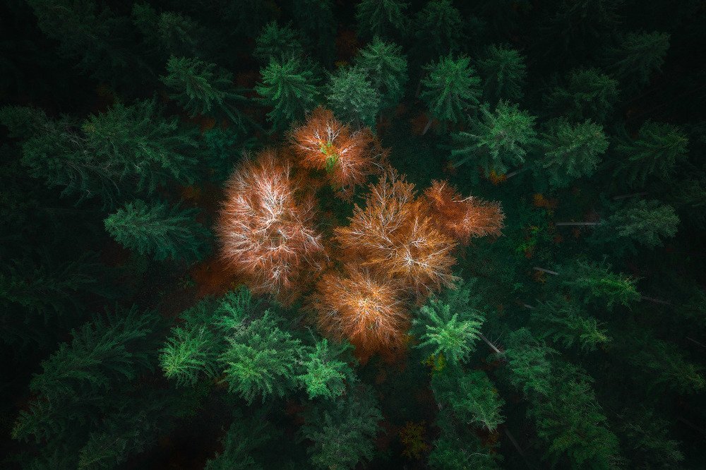 Фотография автора Emelyanov Alex