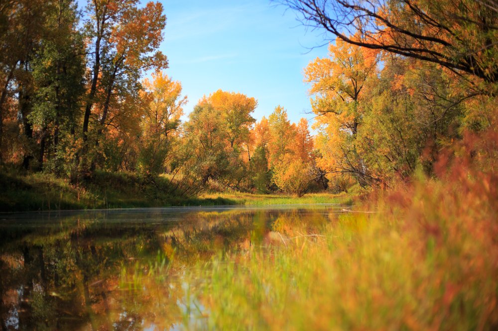 Photograph by Оксана Корчагина