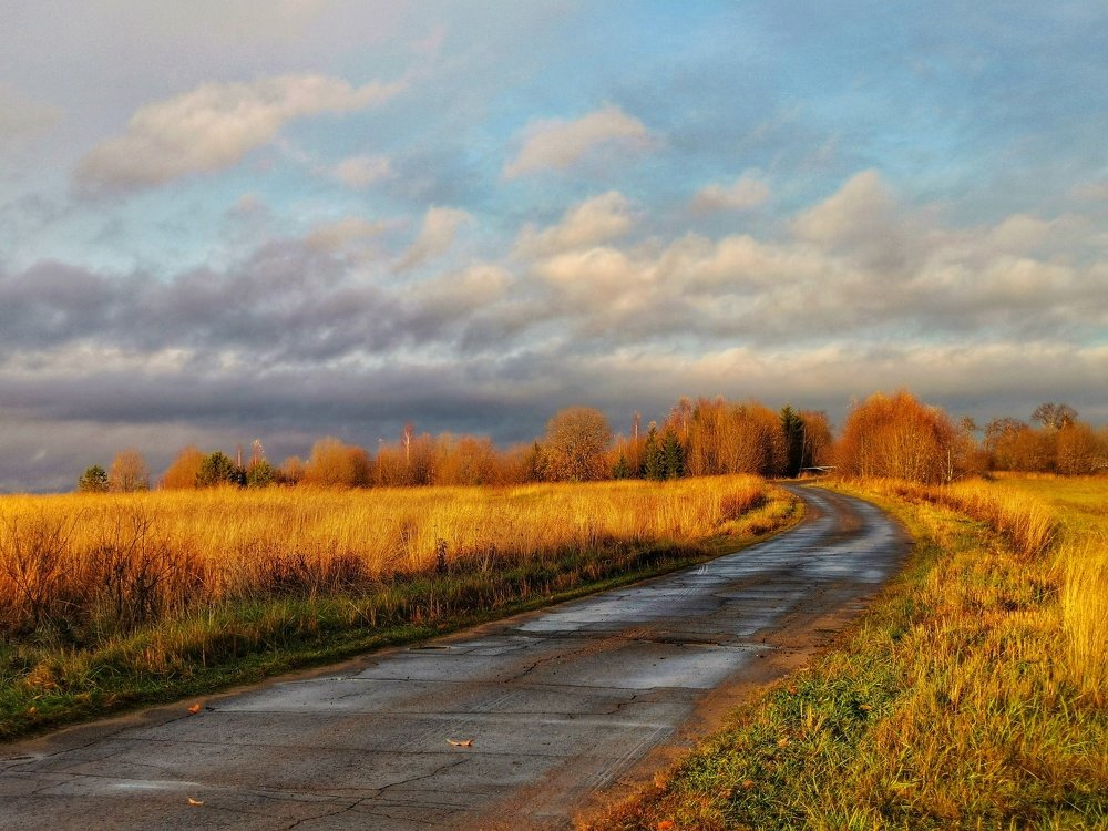 Photograph by 