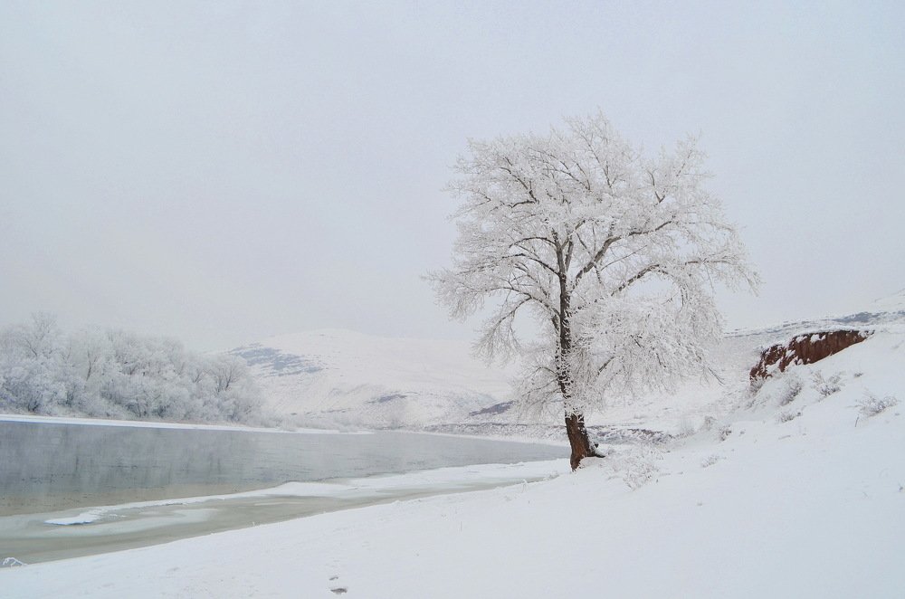 Photograph by Anna Kichapina