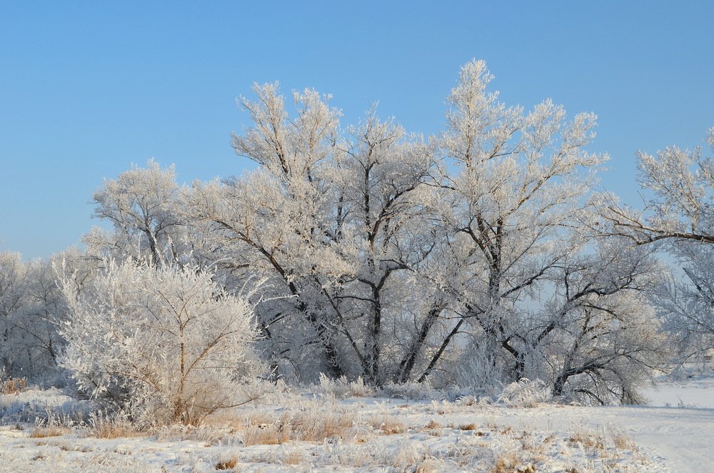 Photograph by Anna Kichapina