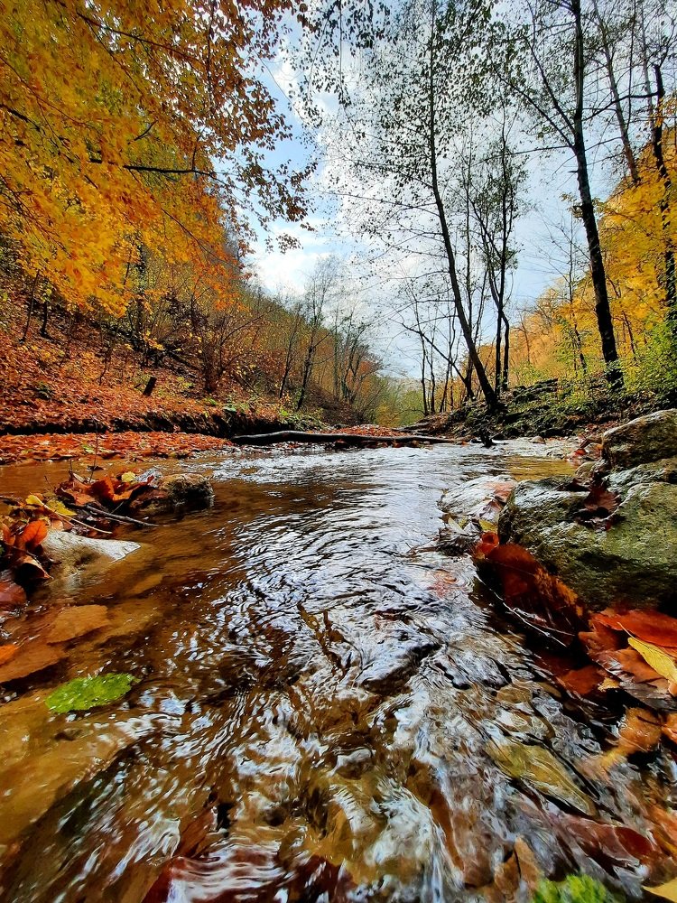 Photograph by Дмитрий Черкашин