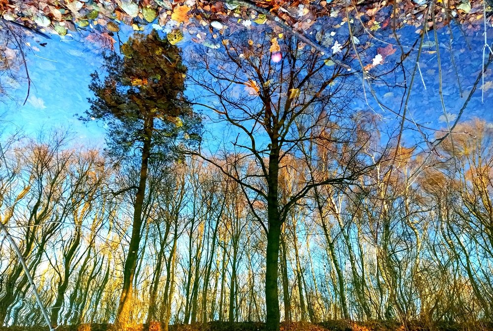 Photograph by Борис Каширин