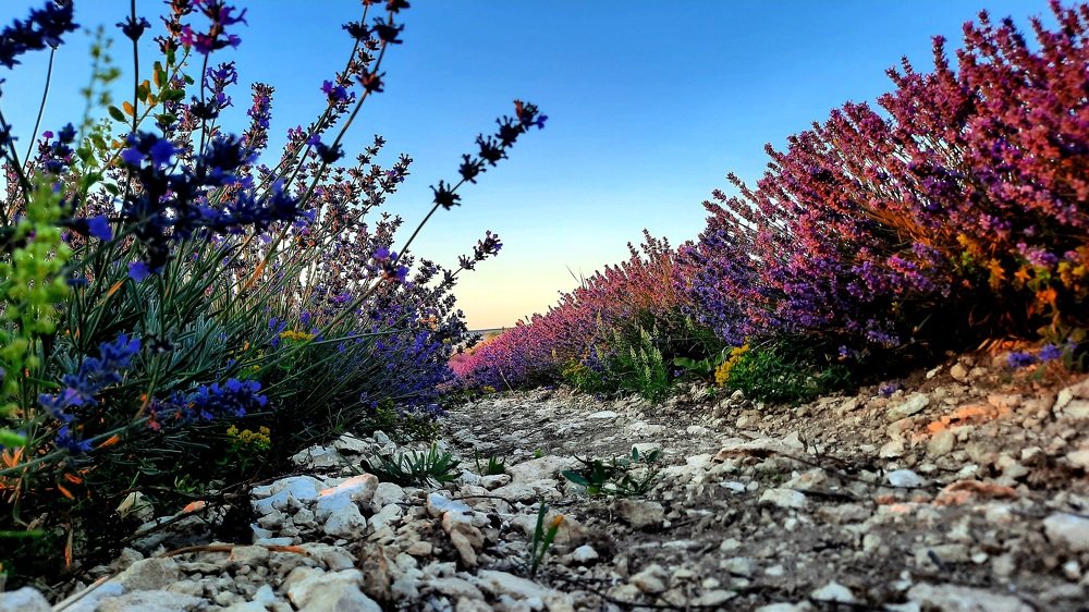 Photograph by Дмитрий Черкашин