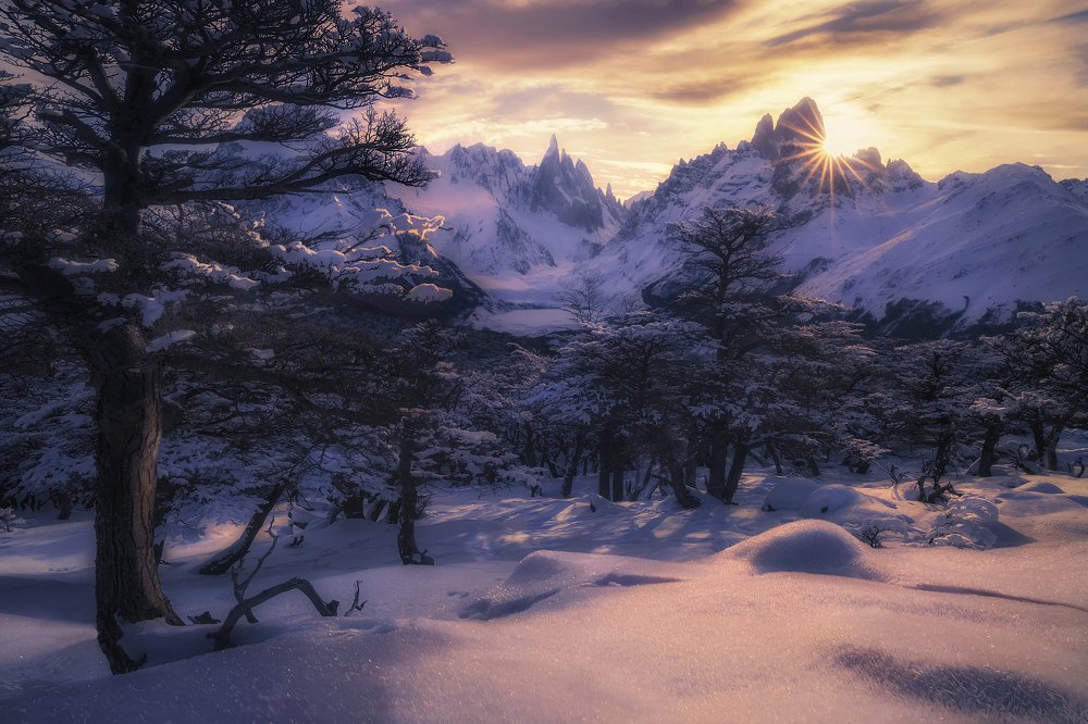 Photograph by Francisco Woloch