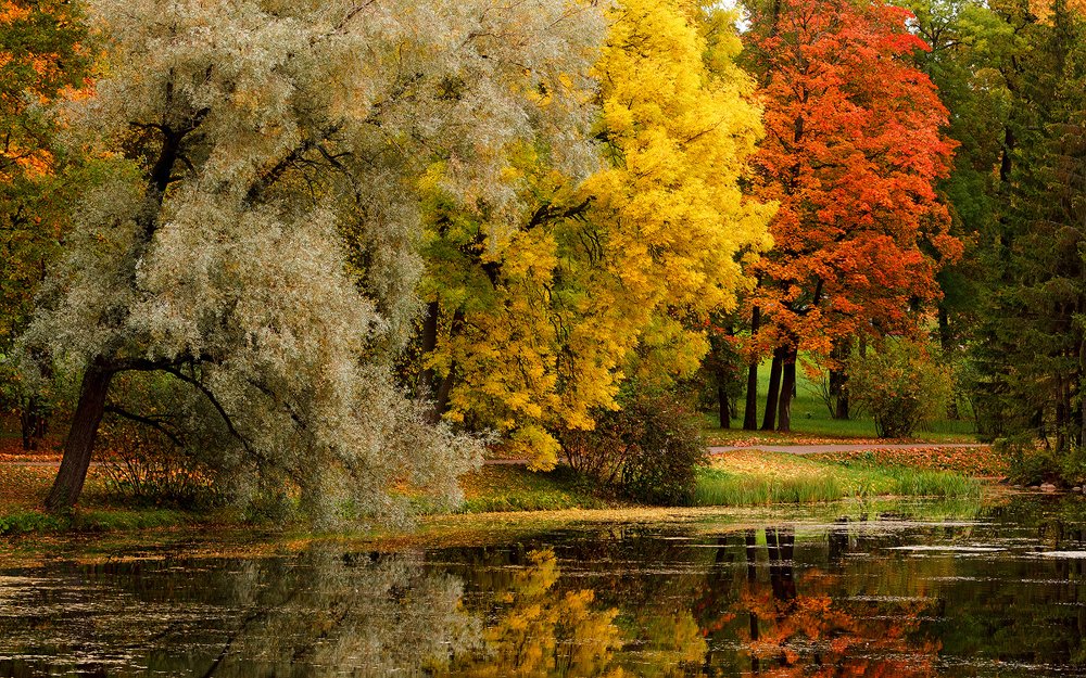 Photograph by Наталия Федосова