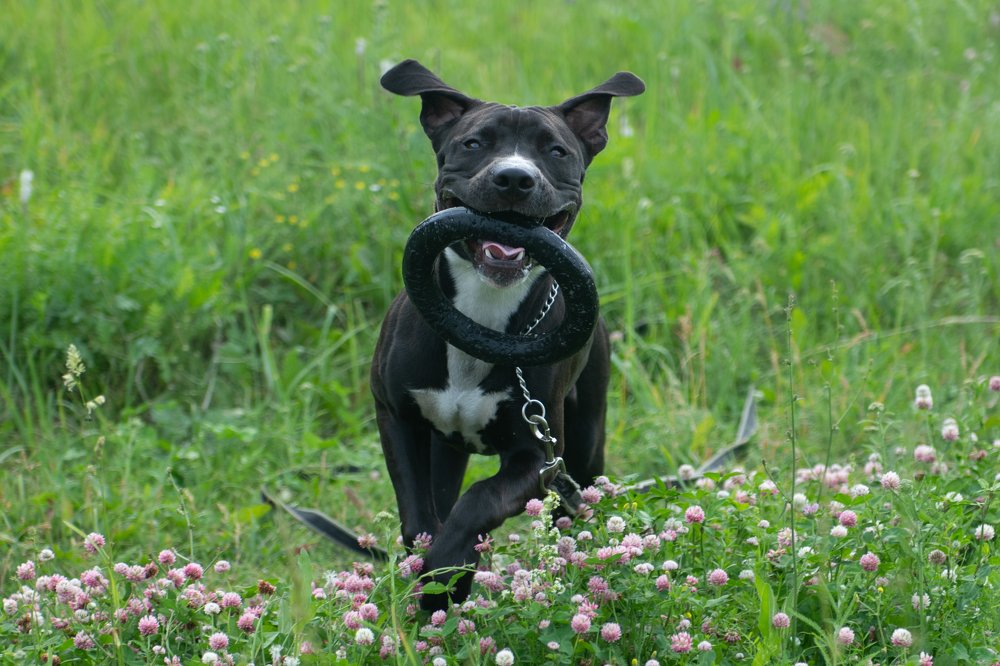 Photograph by Сергей Спорт