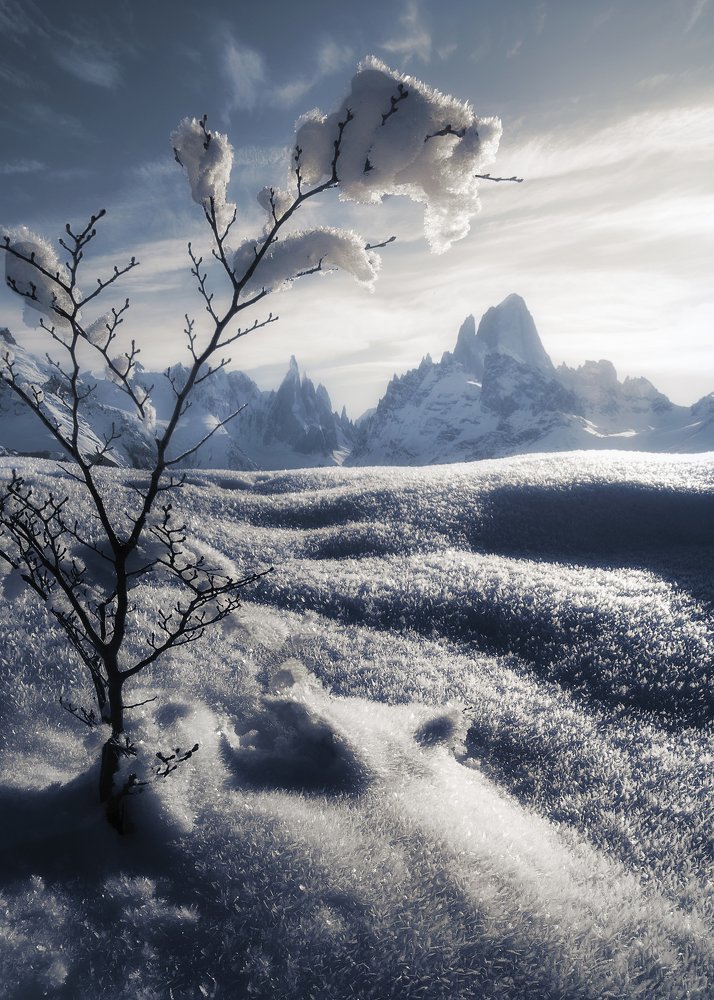 Photograph by Francisco Woloch