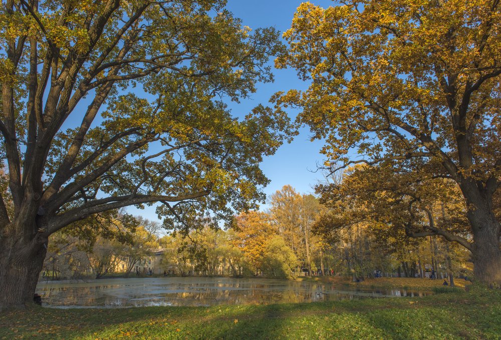 Photograph by Анна Кривицкая