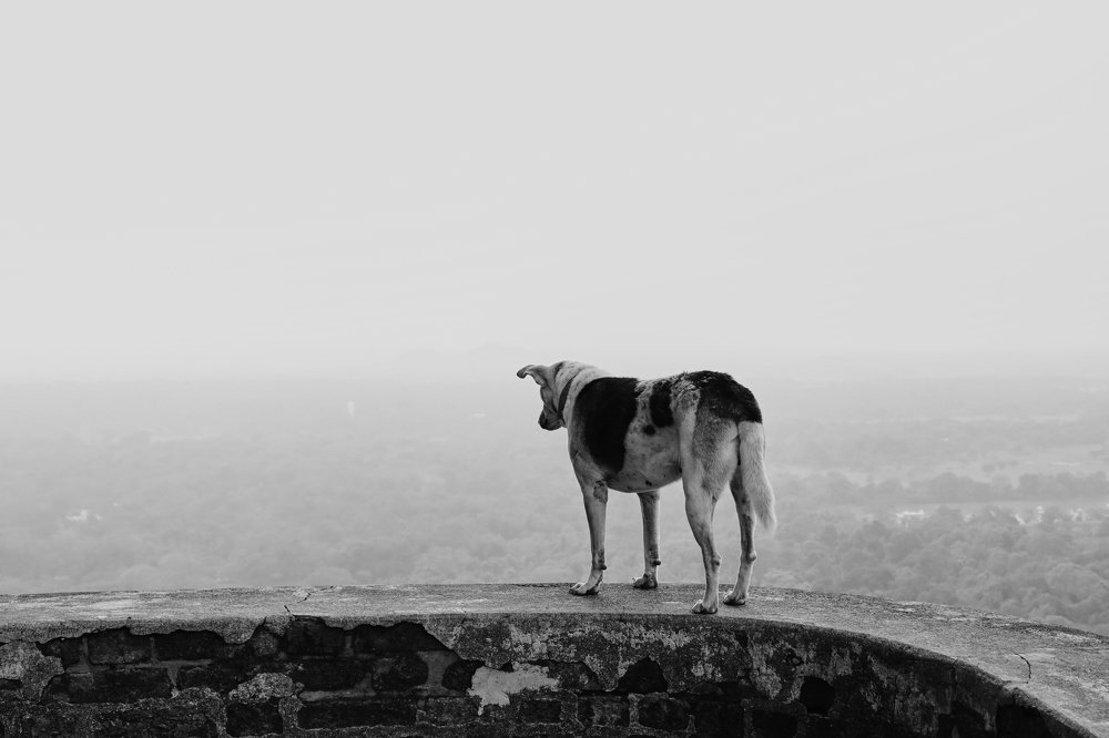 Photograph by Денис Терехин