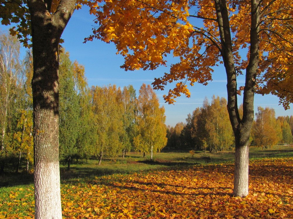 Photograph by Юлия