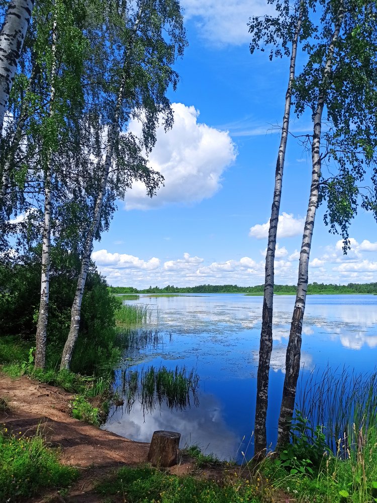 Фотография автора Мария Веселова