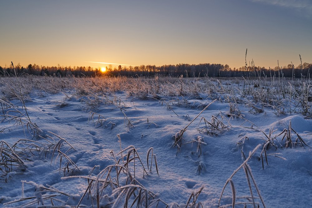 Photograph by Андрей Колеватов