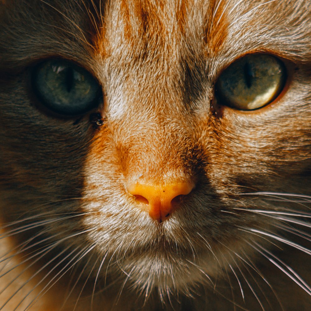 Photograph by Дмитрий Тимофеев