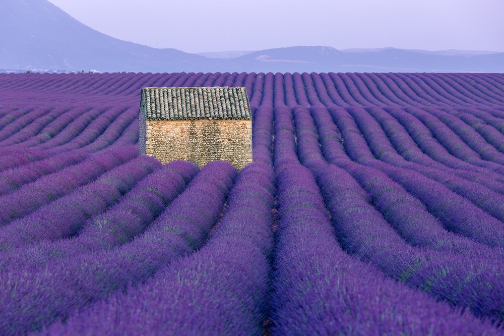 Photograph by Julija Lurina