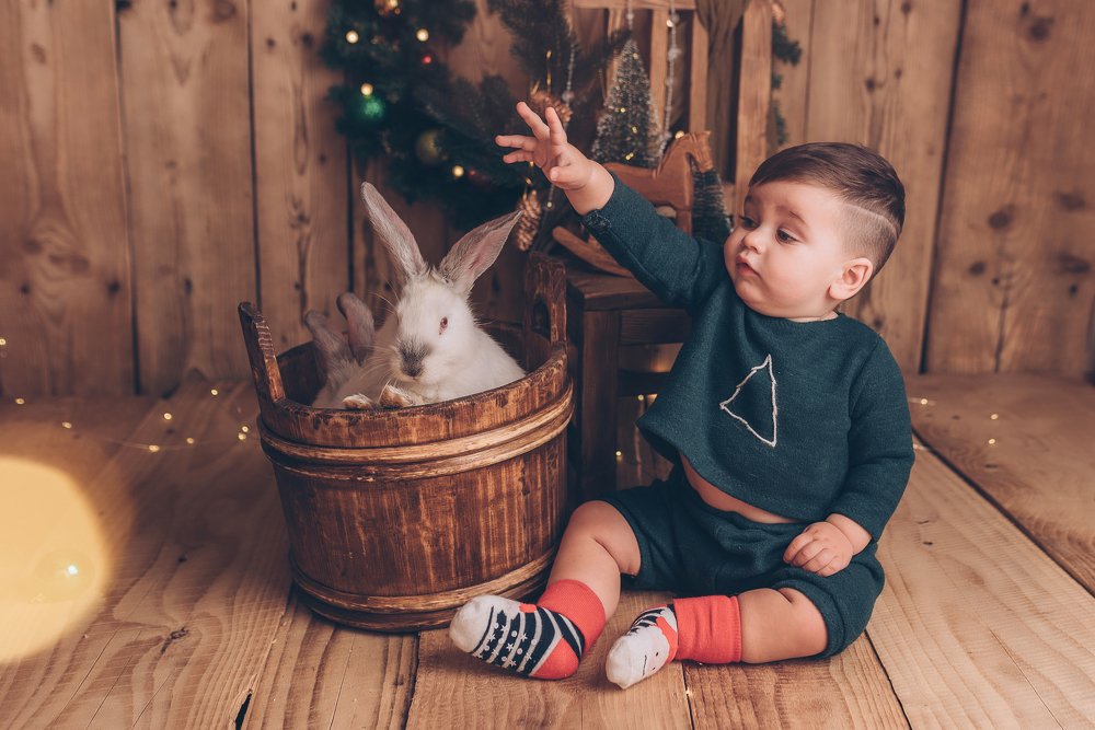 Photograph by Аліна Громко