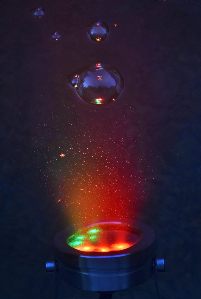 Photograph by Елена Куннова