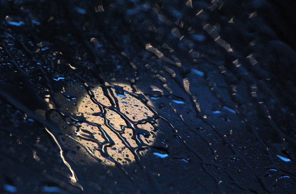 Photograph by Елена Куннова