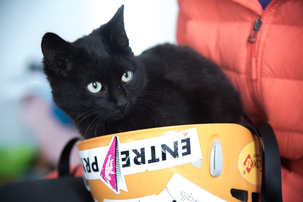 Photograph by Михаил Кравченко