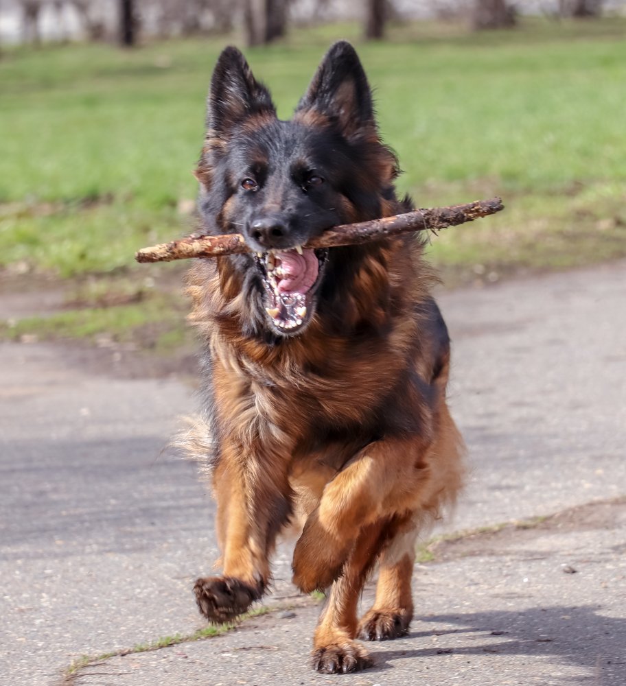 Photograph by Алексей Ошвинцев