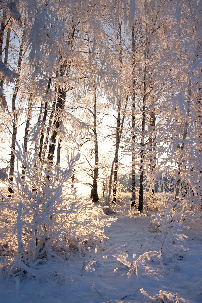 Photograph by Ксения Глубокова