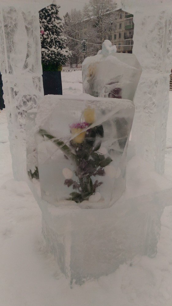 Photo #5324855