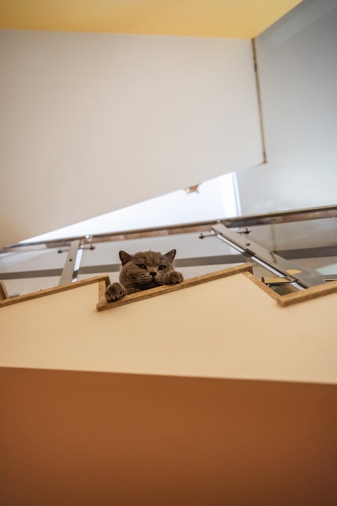 Photograph by Ирина Никифорова