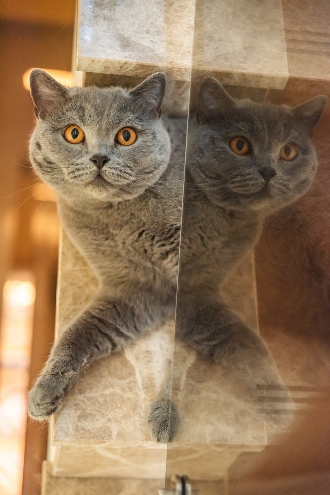 Photograph by Ирина Никифорова