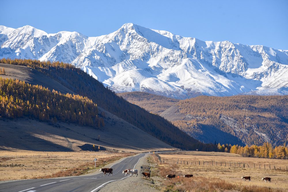 Осенний Алтай