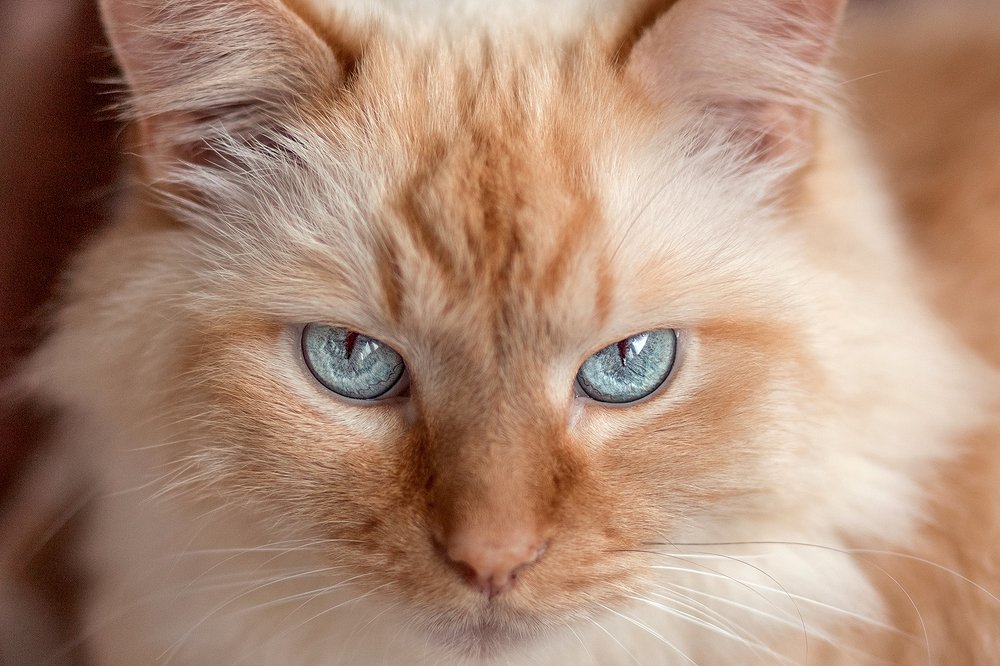 Photograph by Iryna Petrenko