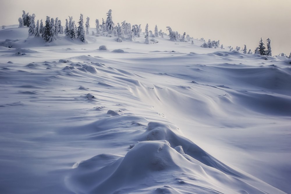 Photograph by Антон Кошетаров