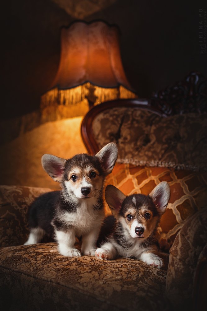 Photograph by PO IRINA