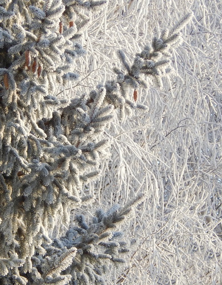 Photograph by Ирина Самойленко