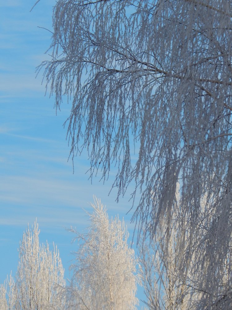 Photograph by Ирина Самойленко