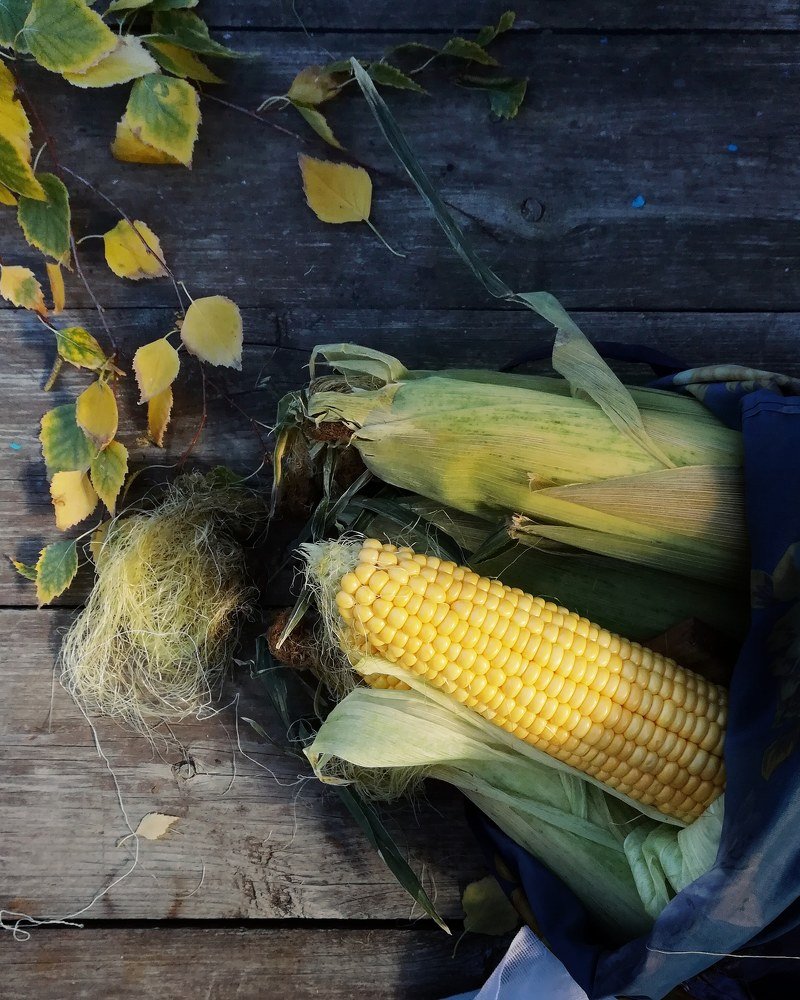 Photograph by Светлана Шибаршина