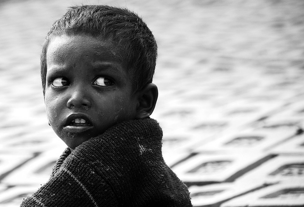 Photo #5325122