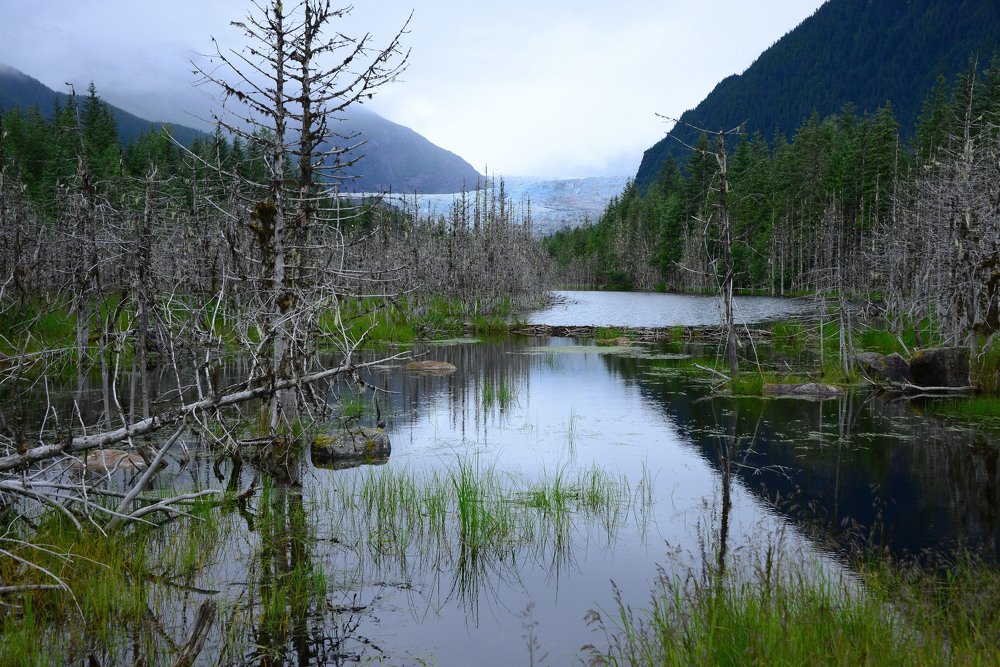 Mendenhall in autumn