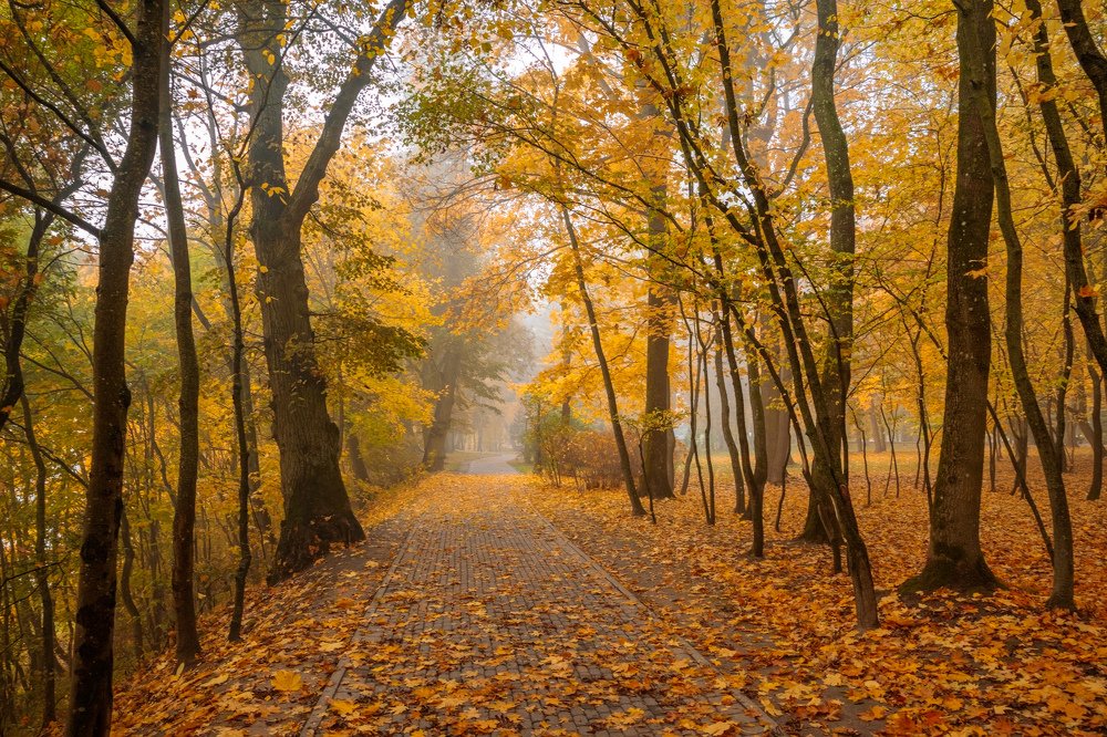 Photograph by SIARHEI RABCHONAK