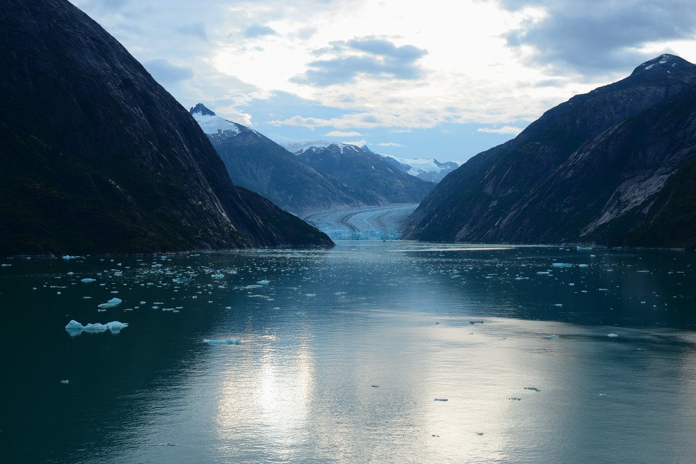 Dawes Glacier/Endicott Arm Fjord
