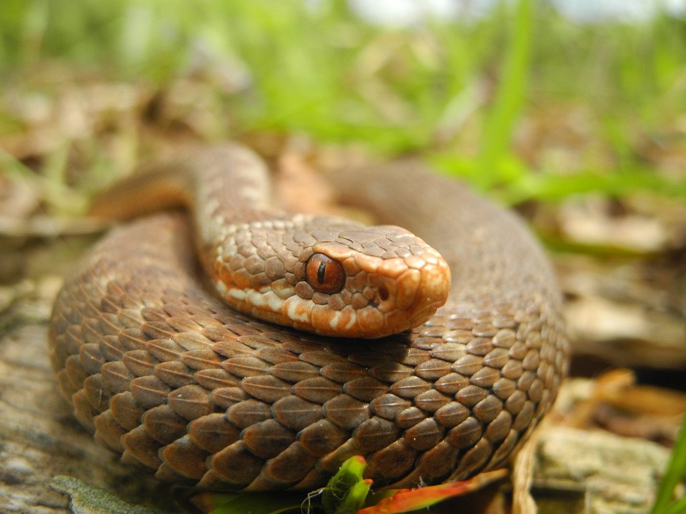 Photograph by Андрей Головин