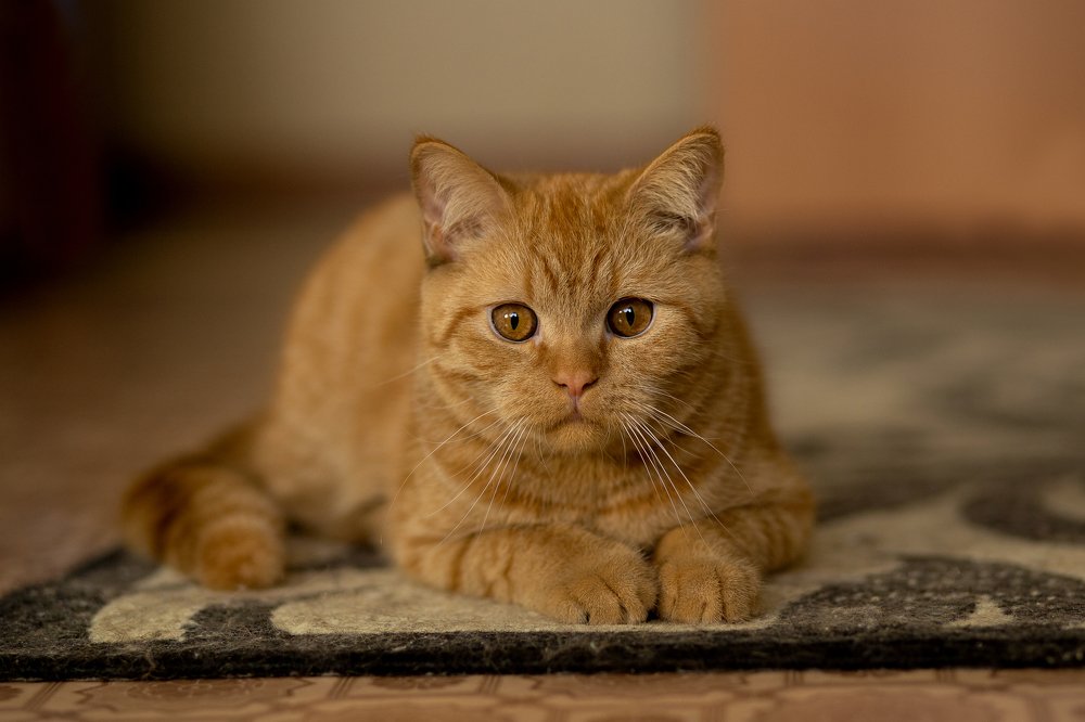 Photograph by Ксения Краснова