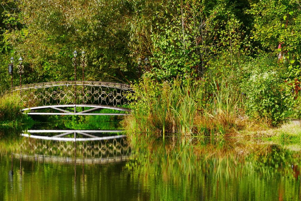 Photograph by Константин Лагоденко