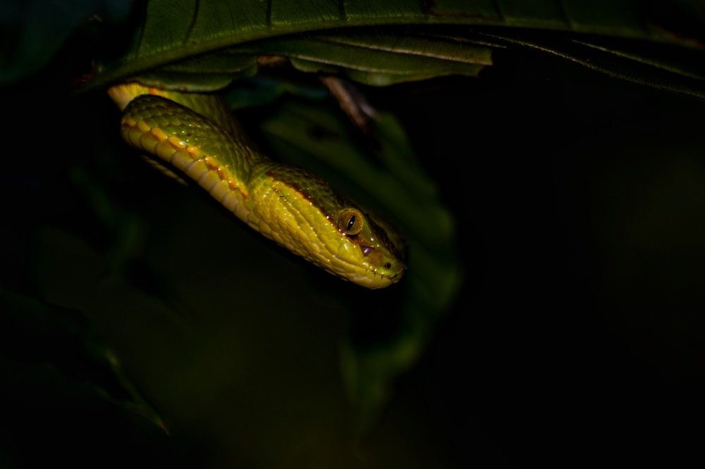 Photograph by Adarsh Ojha