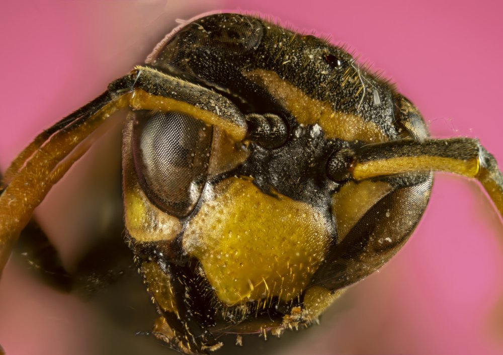 Фотография автора Jorge Herraiz