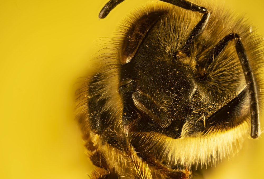 Фотография автора Jorge Herraiz