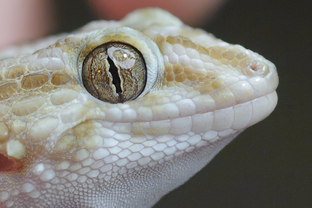 Photograph by Irina Grigoryeva