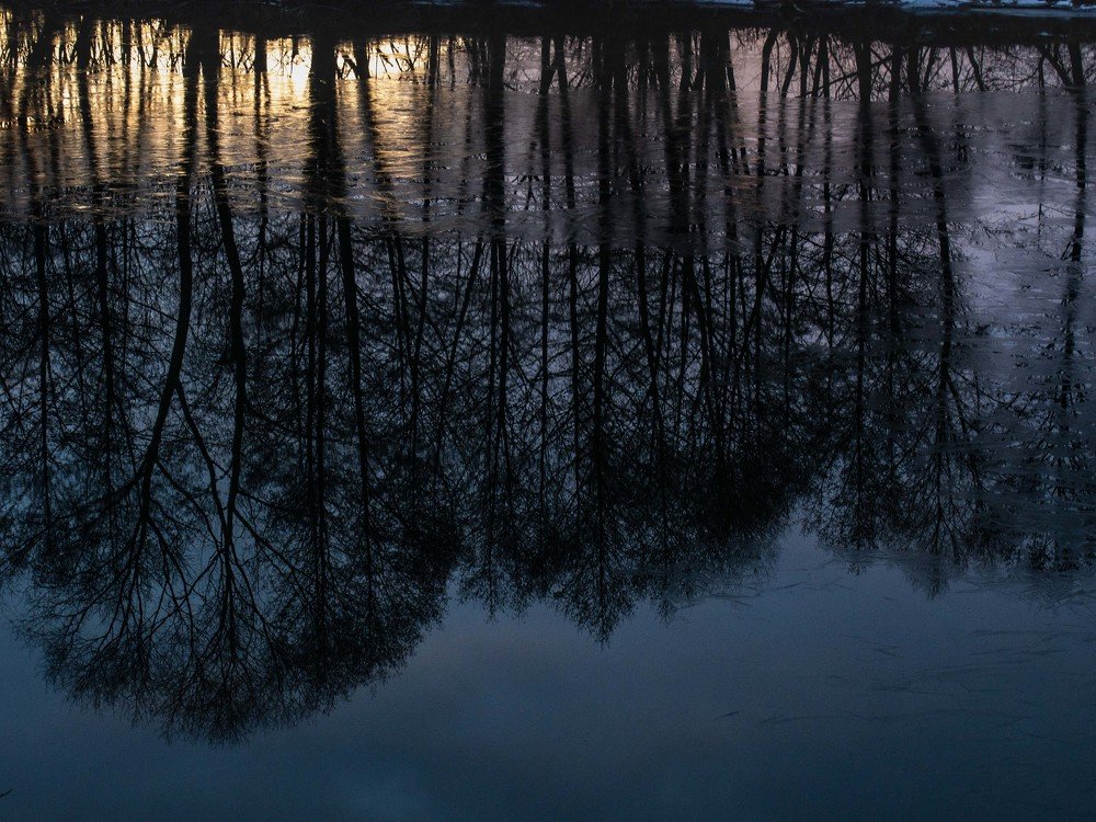 Photograph by mikhail goryachev