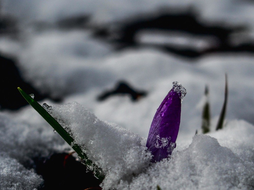 Photograph by mikhail goryachev